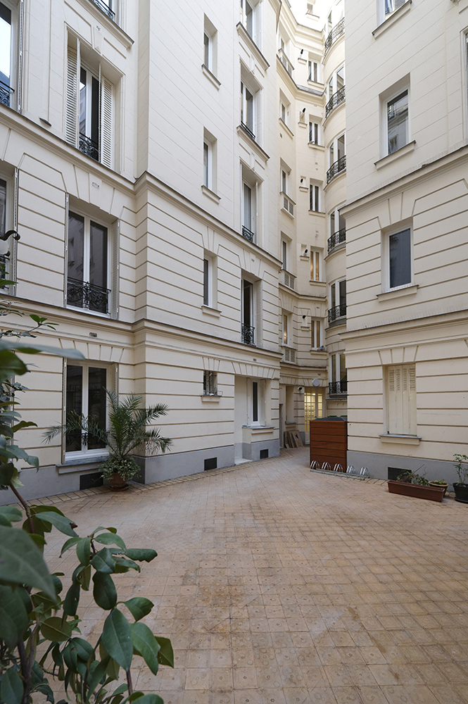 Chevreuil - image 5
