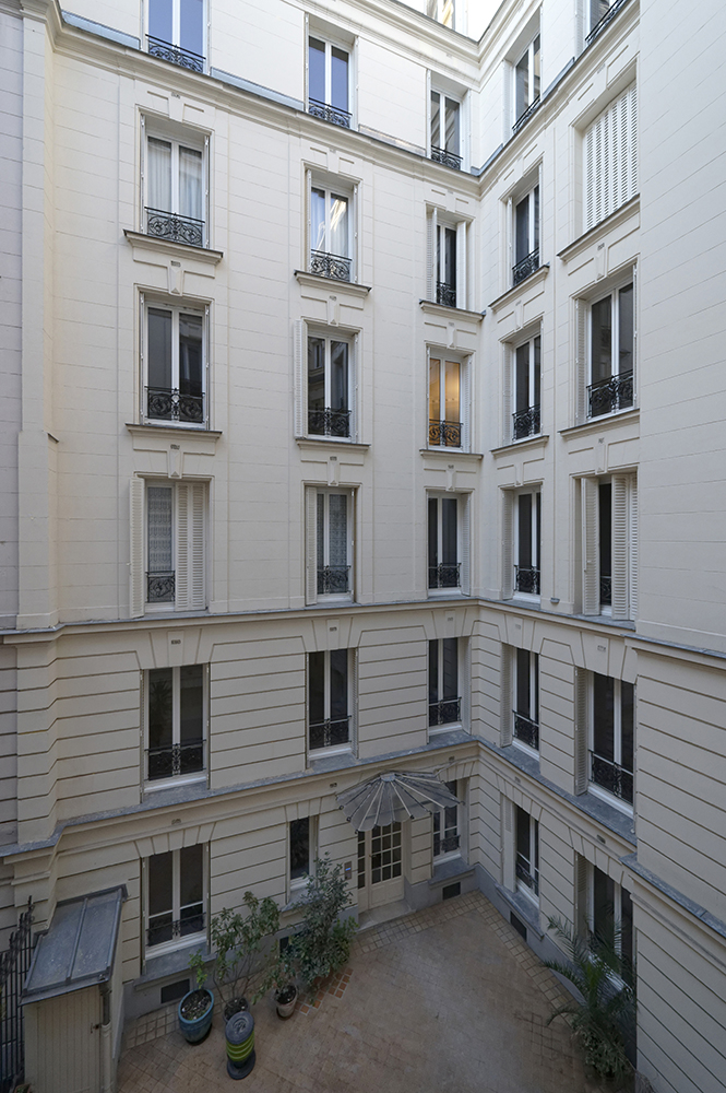 Chevreuil - image 7