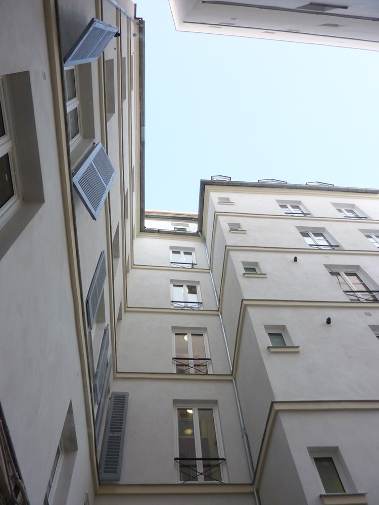 Chevreuil - image 2