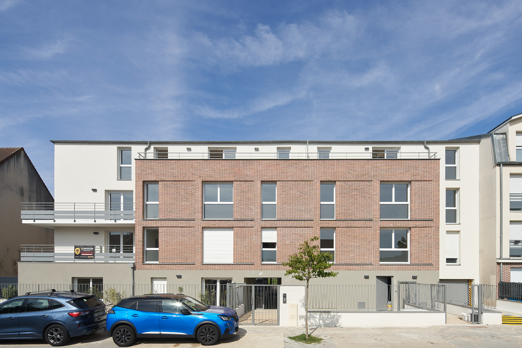 Chevreuil - image 2