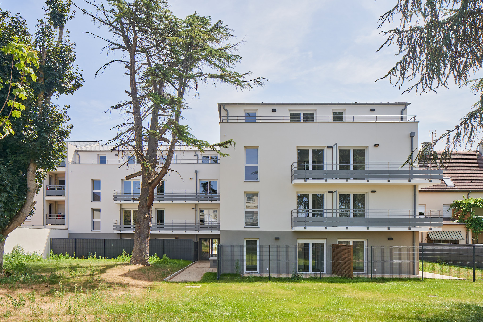 Chevreuil - image 3