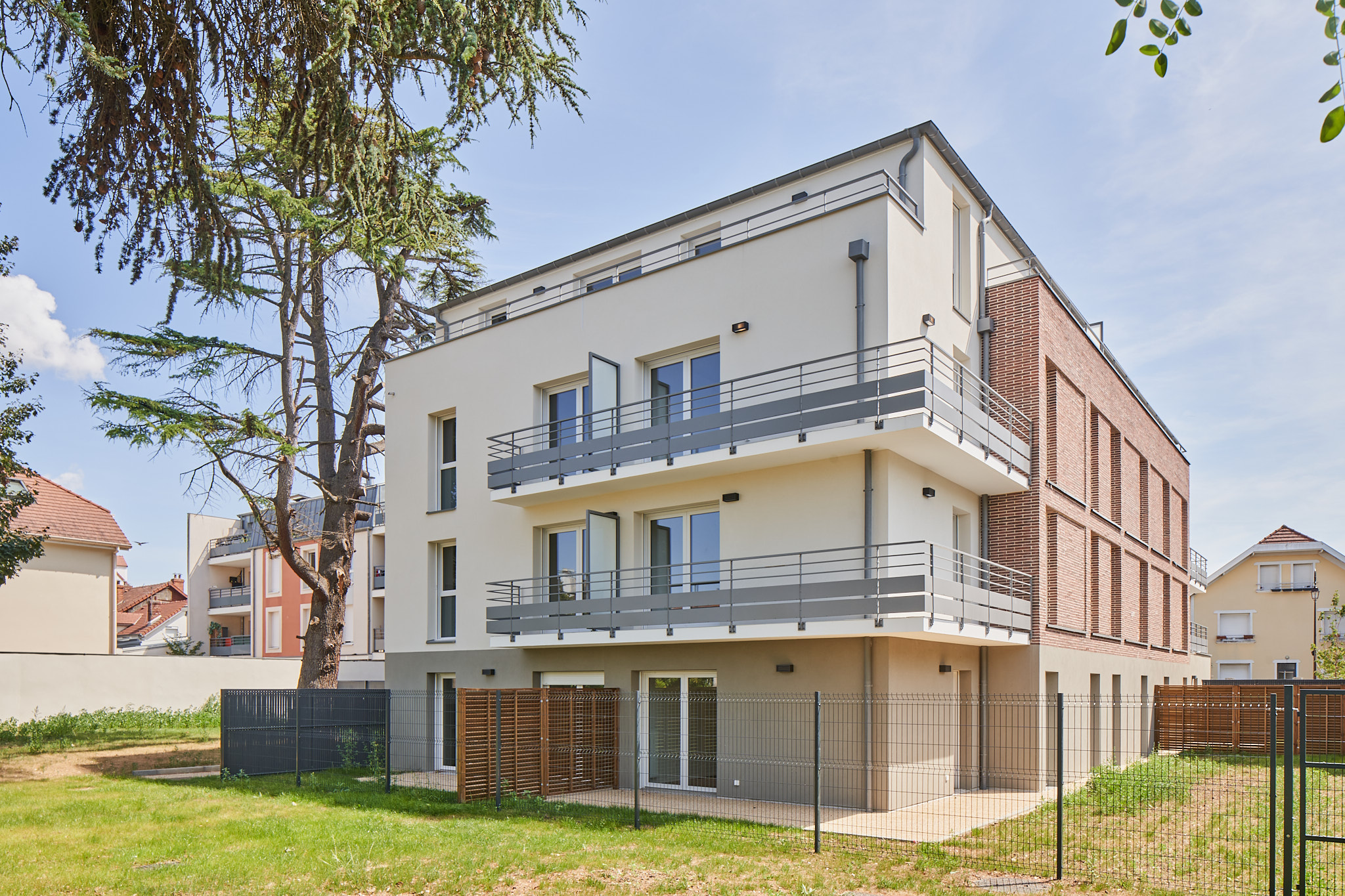 Chevreuil - image 4